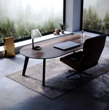 Load image into Gallery viewer, Shining Armour